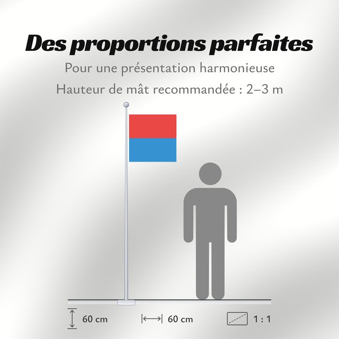 Proportions du drapeau : Canton of Tessin Canton Ticino or Ticino canton du Tessin Cantón del Tesino Ticino Canton of Tessin Switzerland