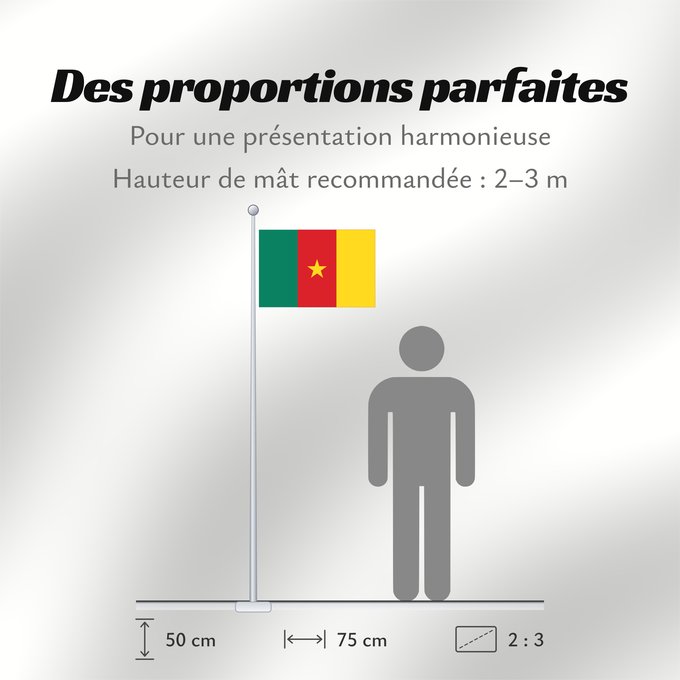 Proportions du drapeau : Cameroon Cameroun Camerún Kamerun Camerun ক্যামেরুনের পতাকা। Kamerunu Kameruno پرچم کامرون Fändel vum Kamerun Знаме на Камерун Camerunului Kameruna Kameruns
