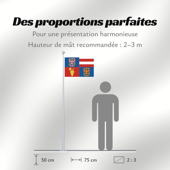 Proportions du drapeau : South Moravian Region	Région de Moravie du Sud)	Región de Moravia Meridional	Südmährische Region	Moravia meridionale	Jihomoravského kraje