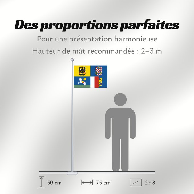 Proportions du drapeau : Moravian-Silesian Region	Région de Moravie-Silésie	Región de Moravia-Silesia	Moravian-Silesian	Moravskoslezského kraje čtvrcený list v horním žerďovém žlutém poli slezská orlice v dolním žerďovém modrém poli na zeleném trávníku