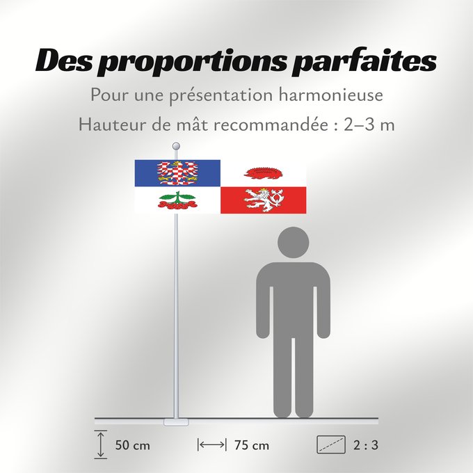 Proportions du drapeau : Vysocina Region	Vysočina Region	Région de Vysočina	Región de Vysočina	Region Vysočina