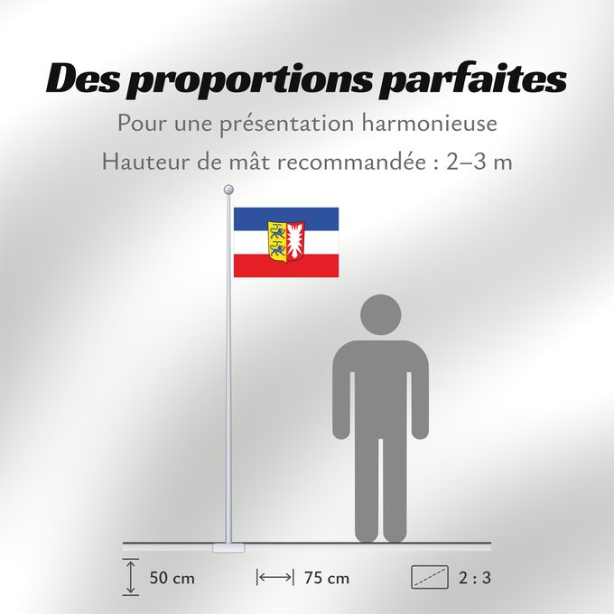 Proportions du drapeau : Schleswig-Holstein