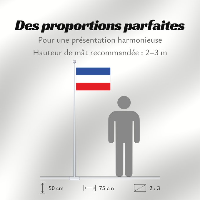 Proportions du drapeau : Schleswig-Holstein