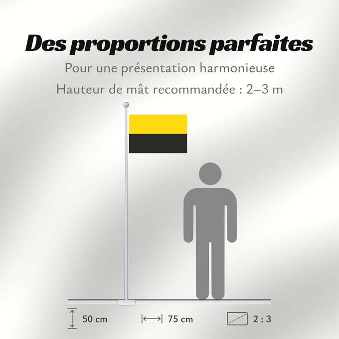 Proportions du drapeau : Saxony-Anhalt	Saxony-Anhalt 	Saxe-Anhalt	Sajonia-Anhalt	Sachsen-Anhalt	Sassonia-Anhalt	Civil flag of Saxony-Anhalt