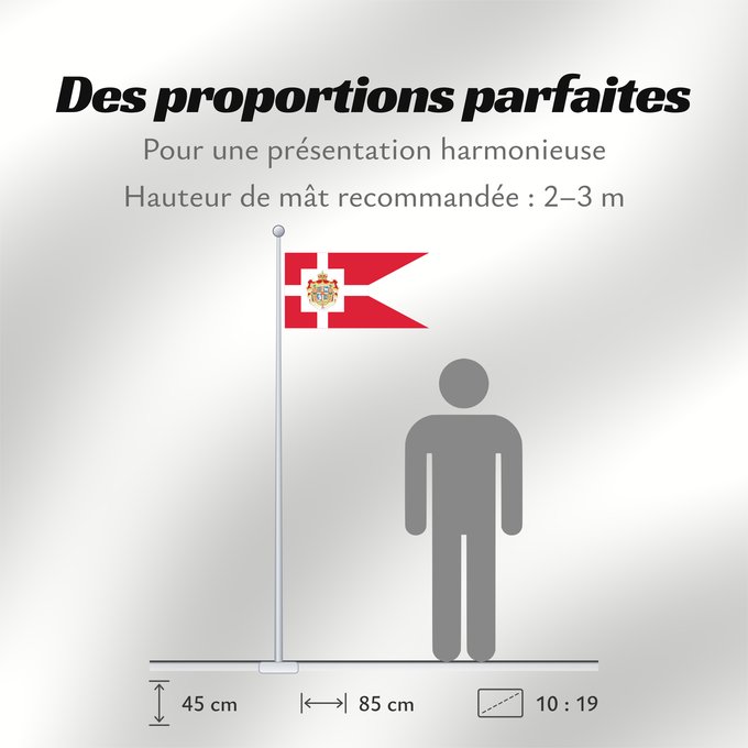 Proportions du drapeau : Royal Standard of Denmark Étendard Royal du Danemark Estandarte Real de Dinamarca Königsstandarte von Dänemark Stendardo Reale di Danimarca Det danske kongeflag