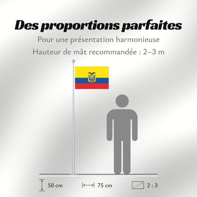 Proportions du drapeau : Ecuador L Équateur Equador Ikwadur wiphala Ekvadora L Ecuador Ecuadors Ekvadoro Ekuadorko bandera Ecuadorin Ekwatè Pāmitl Ecuador Ikwadur unancha Флаг Эквадора Прапор Еквадору