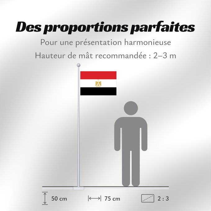 Proportions du drapeau : Egypt L Égypte Egipto Ägyptens Dell Egitto Egypte የግብፅ ሰንደቅዓላማ علم مصر Сцяг Егіпта Banniel Egipt Yr Aifft Af Ægypten Σημαία της Αιγύπτου Egiptio Egyptin Asenǧaq n Maṣer Флаг Египта Masar Egyptens Mısır Прапор Єгипту