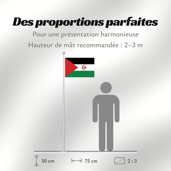 Proportions du drapeau : Sahrawi Arab Democratic Republic	Western Sahara	République arabe sahraouie démocratique	República Árabe Saharaui Democrática	Demokratischen Arabischen Republik Sahara	Repubblica Democratica Araba Sahrawi	Arabische Democratische Republiek Sahara	República 