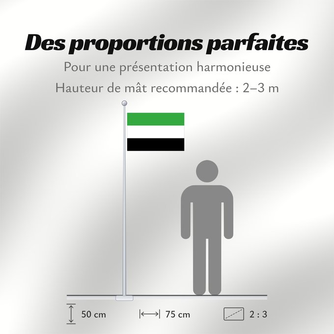 Proportions du drapeau : Extremadura, Spain Extremadura Extrémadure ou Estrémadure Extremadura