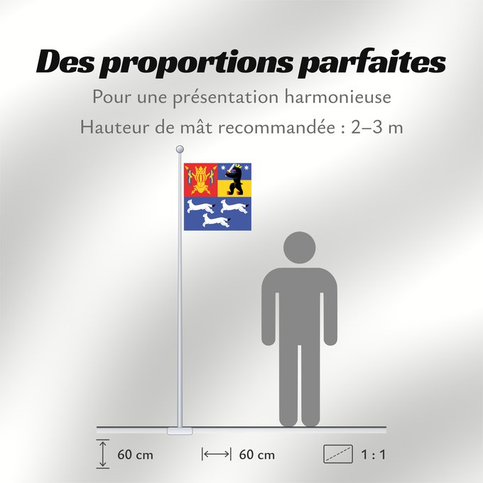 Proportions du drapeau : Länsi-Suomen lääni