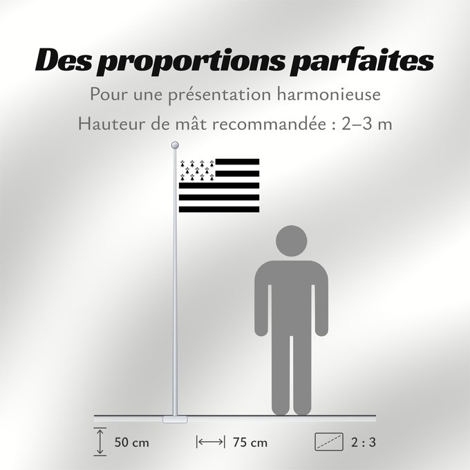 Proportions du drapeau : Brittany	The Gwenn-ha-du, flag of Brittany	Le Gwenn-ha-du, drapeau de la Bretagne	Spaniel Bretón	Bretagna	Ar Gwenn-ha-du, banniel Breizh