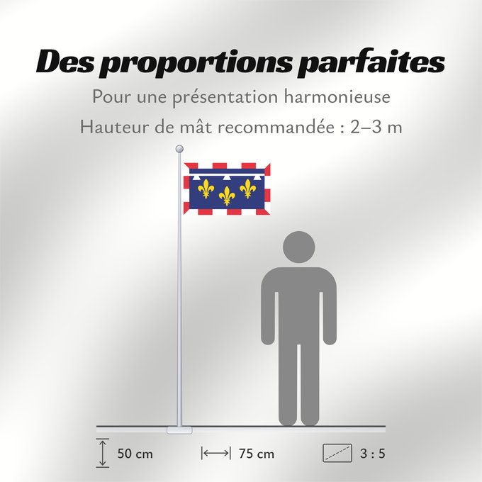 Proportions du drapeau : Centre-Val de Loire Unofficial flag of Centre region in France Non-officiel de la région Centre-Val de Loire en France Centro Centre Banniel anofisiel Kreiz-Traoñ al Liger e Frañs