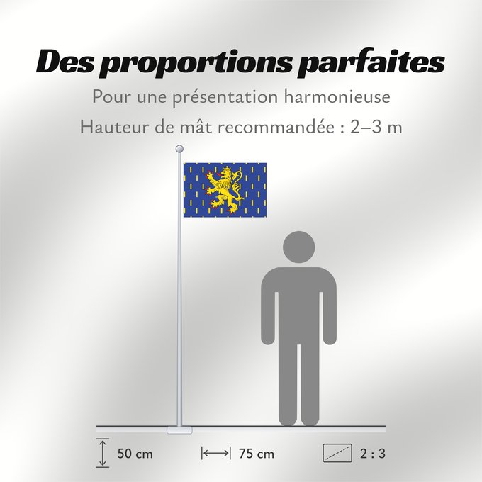 Proportions du drapeau : Franche-Comté