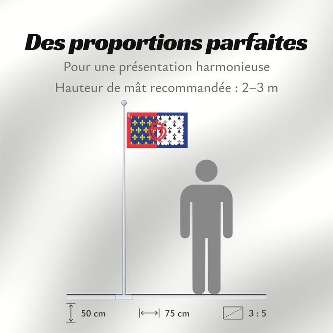 Proportions du drapeau : Unofficial flag of Pays-de-la-Loire Unofficial flag of the region Pays-de-la-Loire in France Non officiel de la région Pays-de-la-Loire Países del Loira Pays de la Loire Los Païses de Léger