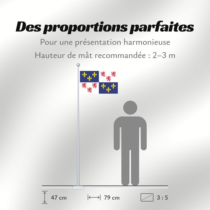 Proportions du drapeau : Picardie	Region Picardie in France	Région Picardie en France	Picardo	Picard