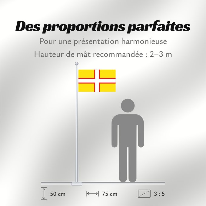 Proportions du drapeau : Dorset Dorset, England