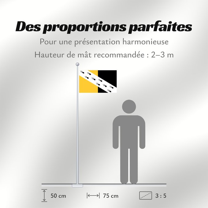 Proportions du drapeau : Norfolk
