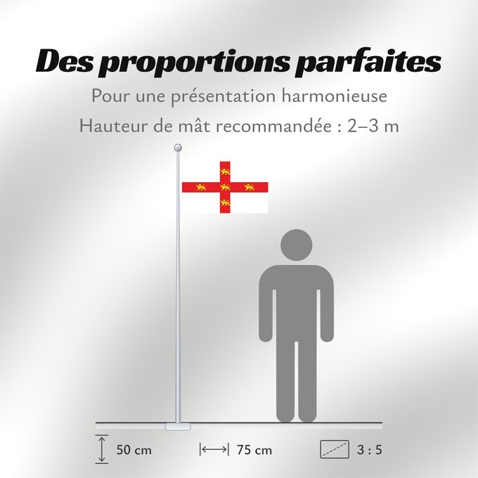 Proportions du drapeau : York