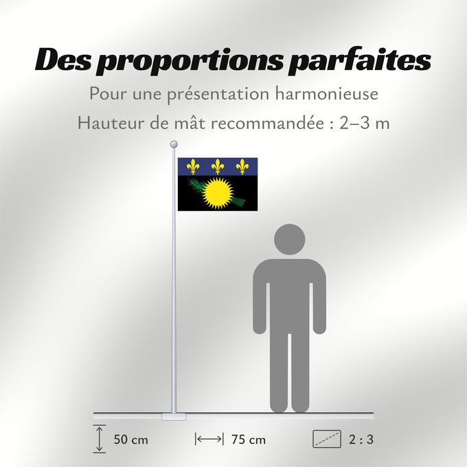 Proportions du drapeau : Unofficial flag of Guadeloupe  local	Unofficial local flag of Guadeloupe	Guadeloupe	Guadalupe. Uso no oficial	Guadalupa