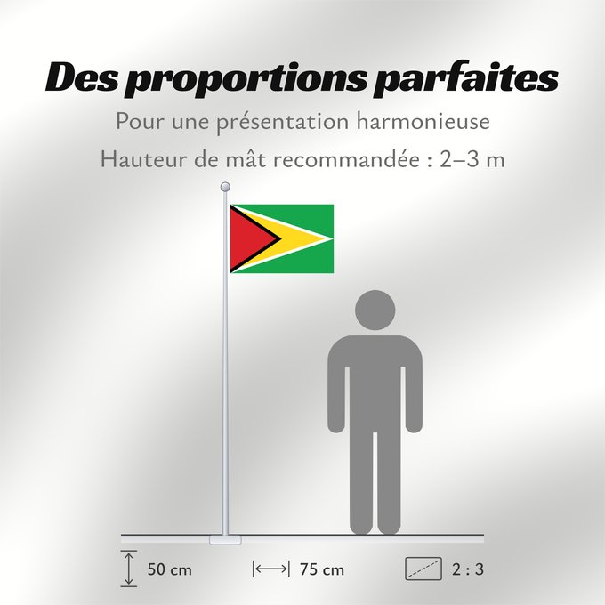 Proportions du drapeau : Guyana	Guiana	Wayana wiphala	Gujano	Gwayana	Wayana unancha	Флаг Гайаны	Guyanas	Quốc kỳ Guyana