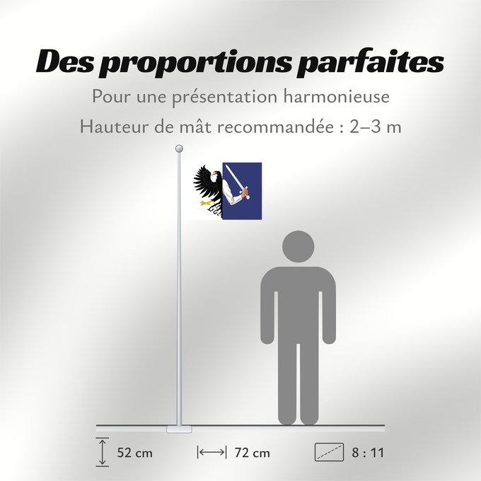 Proportions du drapeau : Connacht	W Connacht	Connacht ou Connaught