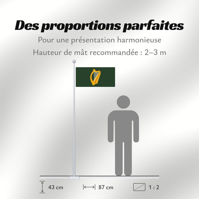 Proportions du drapeau : Leinster	W Leinster