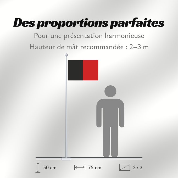 Proportions du drapeau : Valle d'Aosta, Vallée d'Aoste (fr)