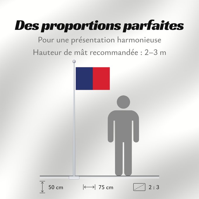 Proportions du drapeau : Cagliari	Bandèra de Castéddu