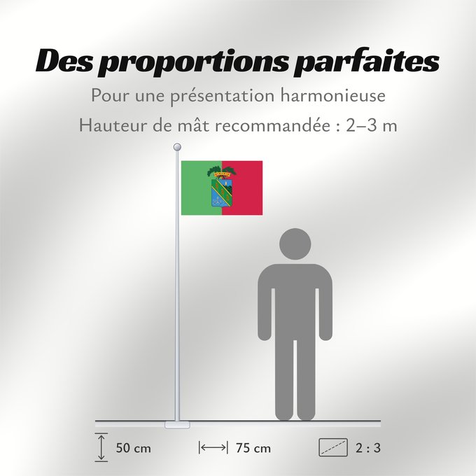 Proportions du drapeau : Latina	Province of Latina	Province de Latina	Provincia de Latina	Provinz Latina	Provincia di Latina