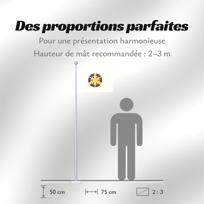 Proportions du drapeau : Kyoto City	Kyôto City	Kyōto ou Kyoto	Kioto	Kyōto	De Kyôto  Quioto	京都市旗	京都市旗 / 교또시기	​京都市旗
