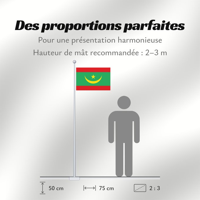 Proportions du drapeau : Mauritania	Mauritanie	La Asamblea Nacional de Mauritania aprobó cambiar el diseño de la bandera nacional	Mauretanien	علم موريتانيا ، اعتمد في عام 2017. أضاف مجلس الأمة خطوطًا حمراء على الحافة العلوية والسفلية لتمثل  دماء شهداء الاستقلال