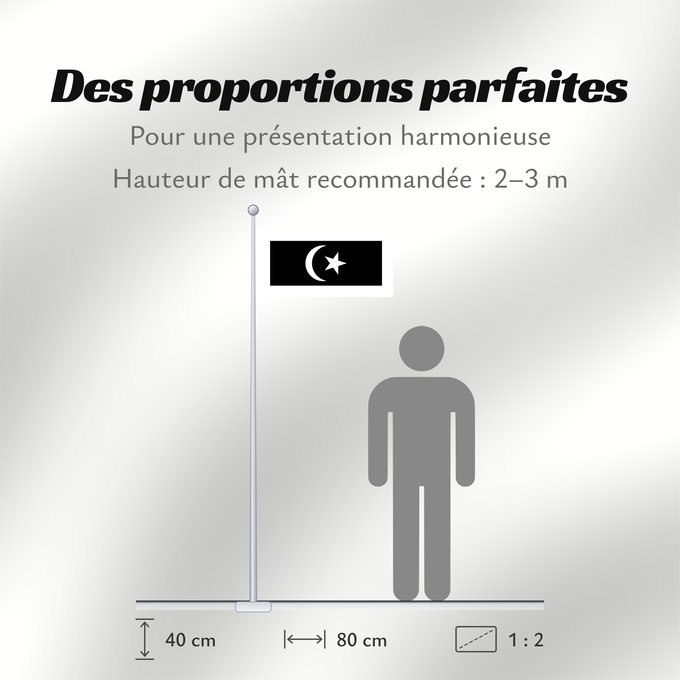 Proportions du drapeau : Terengganu	Malaysian state Terengganu