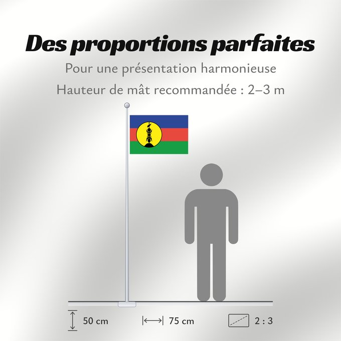 Proportions du drapeau : FLNKS	Kanak and Socialist National Liberation Front political party	Front de libération nationale kanak et socialiste	Colores Pantone http //www	Neukaledonien	Nuova Caledonia	Front d Alliberament Nacional Canac Socialista