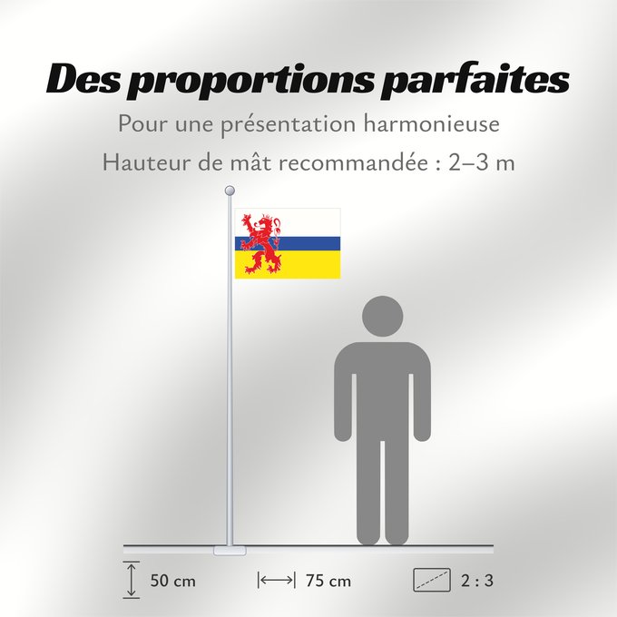 Proportions du drapeau : Limburg  Netherlands	Dutch province Limburg	Limbourg	Limburgo	Limburg	Nederlandse province Limburg