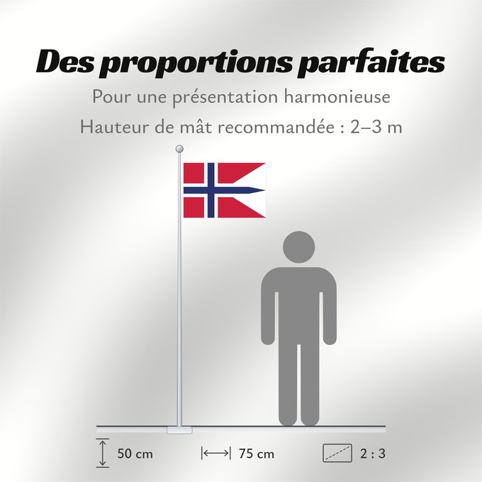 Proportions du drapeau : Norway	Norvège	Noruega	Norwegen	Norvegia	Noorwegen	Norwegii	Þjóðfáni Noregs	Banniel Norvegia	Norska	Norwy	Norges	Norvegio	Noregs	Norveške	Norski fáninn	Norvegiae	Norges flagg	Det norske flagget	Norgga leavga	Stän Norgäna