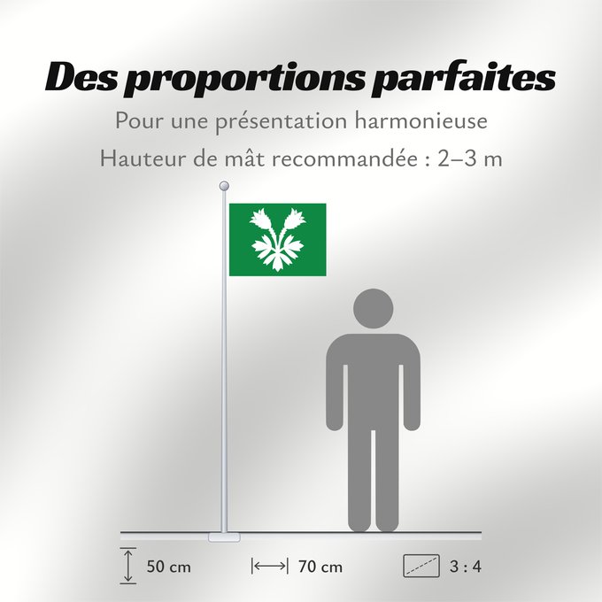 Proportions du drapeau : Oppland Former county of Oppland, Norway comté d’Oppland
