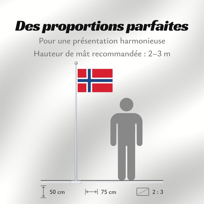 Proportions du drapeau : Norway	Norvège	Noruega	Norwegen	Norvegia	Noorwegen	Norwegii	علم النرويج	Сцяг Нарвегіі	Banniel Norvegia	Norska	Norwy	Norges	Norvegio	Norjan	Noregs	Norveške	Norski fáninn	노르웨이의 국기	Norvegiae	Norges flagg	Det norske flagget	Þjóðfáni Noregs	Norgga leavga	Прапо
