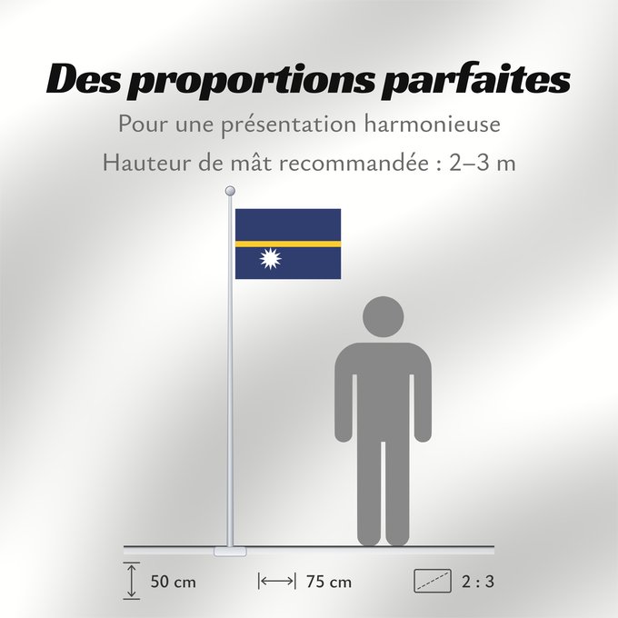 Proportions du drapeau : Nauru The national flag of Nauru La bandera nacional de Nauru Nazionale di Nauru A bandeira nacional de Nauru Σημαία του Ναουρού La nacia flago de Nauro Nauru lipp Naurun דגל נאורו Знаме на Науру Anidenin Naoero Флаг Науру Nauru leavga Nauruja Naurus Naur