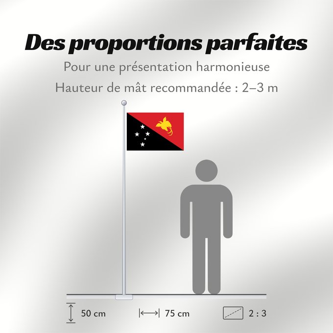 Proportions du drapeau : Papua New Guinea	Papua New GuineaColours Pantone 186 C for red and 116 C for yellow	Papouasie-Nouvelle-Guinée	Papúa Nueva Guinea	Papua-Neuguineas	Papua Nuova Guinea	Papoea-Nieuw-Guinea	Papua-Nova Guiné	Papui-Nowej Gwinei	علم بابوا غينيا الجديدة	পাপুয়া নি