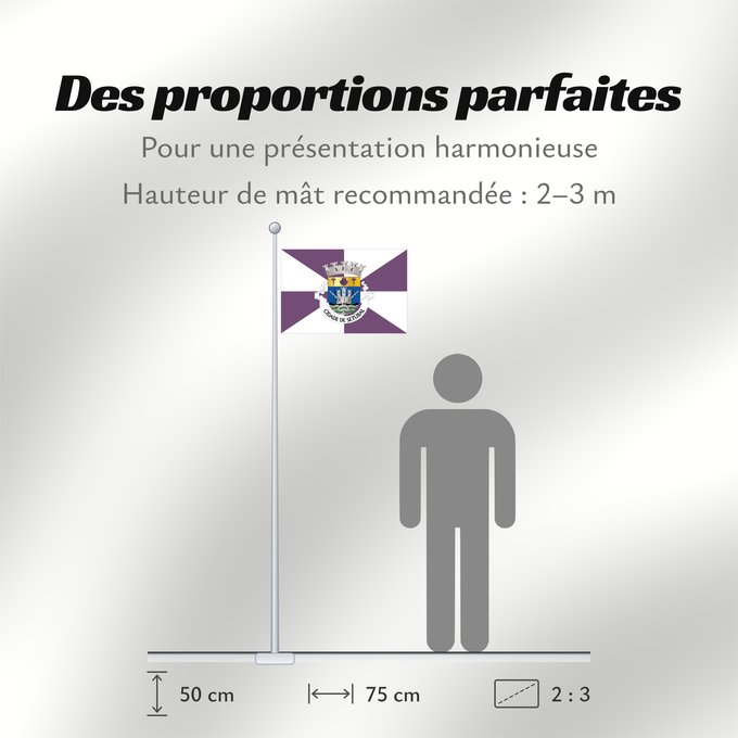 Proportions du drapeau : Setúbal