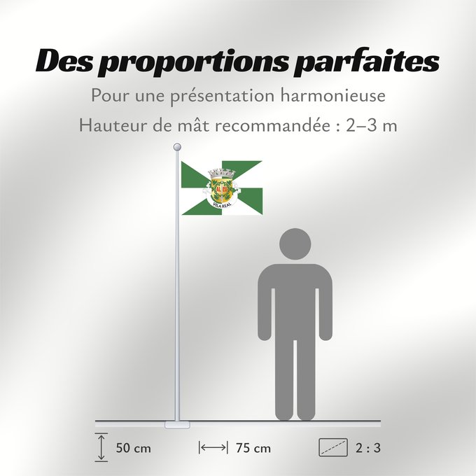 Proportions du drapeau : Vila Real