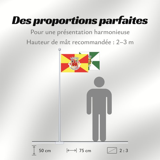 Proportions du drapeau : Viseu