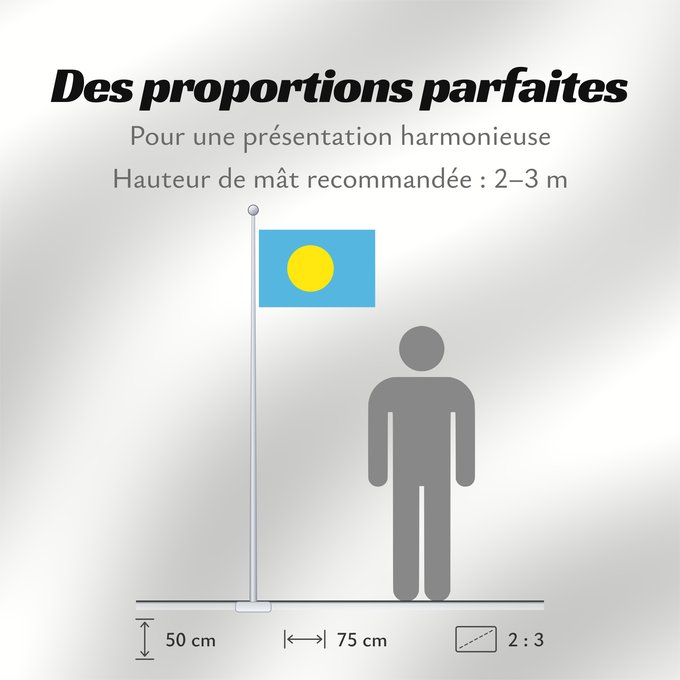 Proportions du drapeau : Palau	Palau, made by User Gabbe	 Palaos	Palaos	パラオの国旗	Palaua	​帕勞國旗