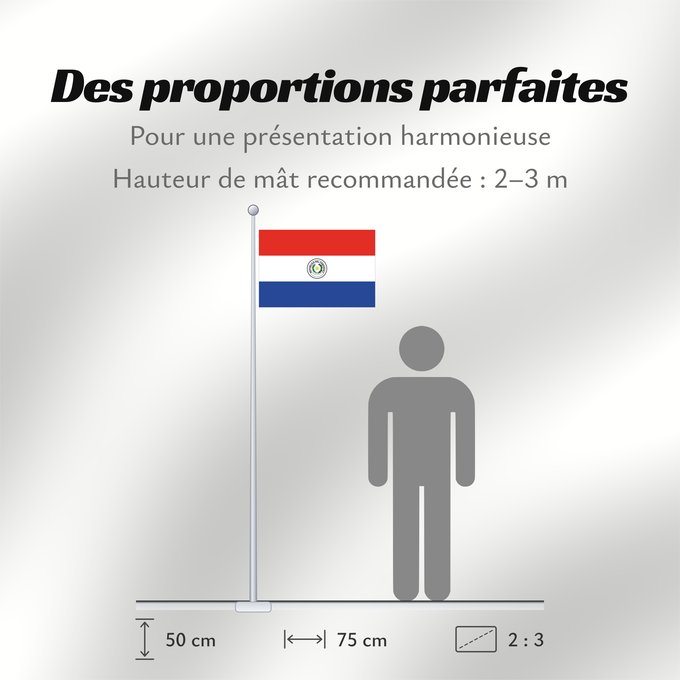 Proportions du drapeau : Paraguay Paraguay obverse علم باراغواي پرچم پاراگوئه روی پرچم Флаг Парагвая