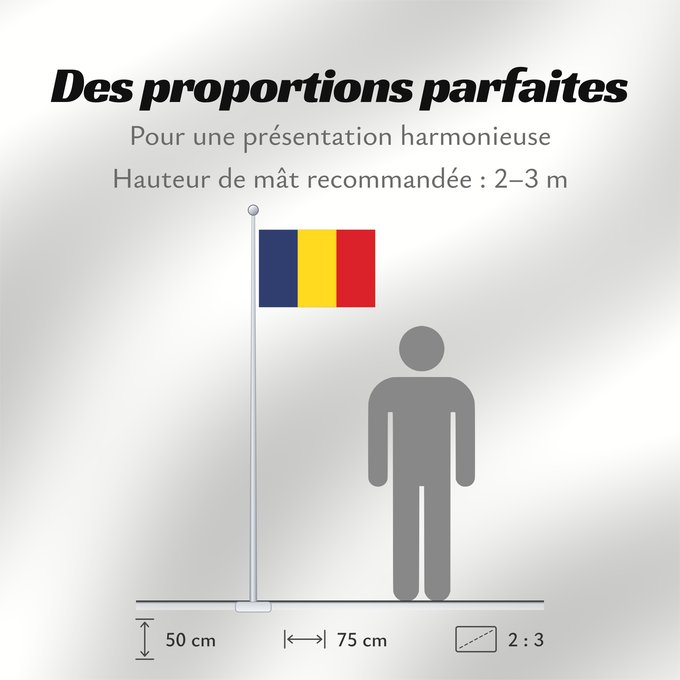 Proportions du drapeau : Romania	Romania from 1867 until 1947 and since 1989	Roumanie	Rumania	Rumäniens	Roemenië	Roménia	Rumunii	Сцяг Румыніі	Сьцяг Румыніі	Знаме на Румъния	Banniel Roumania	Rumunská vlajka	ꙁна́мѧ Роумꙑні́ꙗ	Rwmania	Rumæniens	Σημαία της Ρουμανίας	Rumeenia lipp	Roma