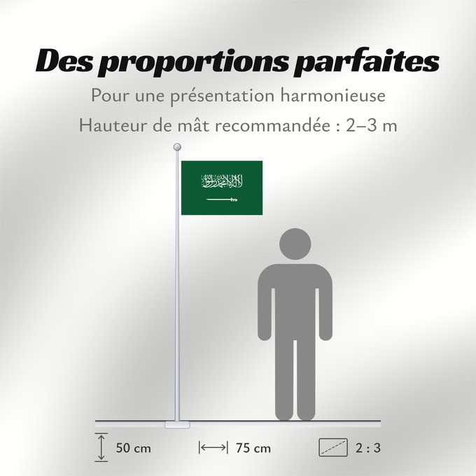 Proportions du drapeau : Civil Ensign of Saudi Arabia  obverse	Saudi Arabia	Arabie saoudite	Arabia Saudita	Saudi-Arabien	الشعار المدني في الأعلى على الركن الأيمن للعلم، ومعدل التناسب ٢ ٣