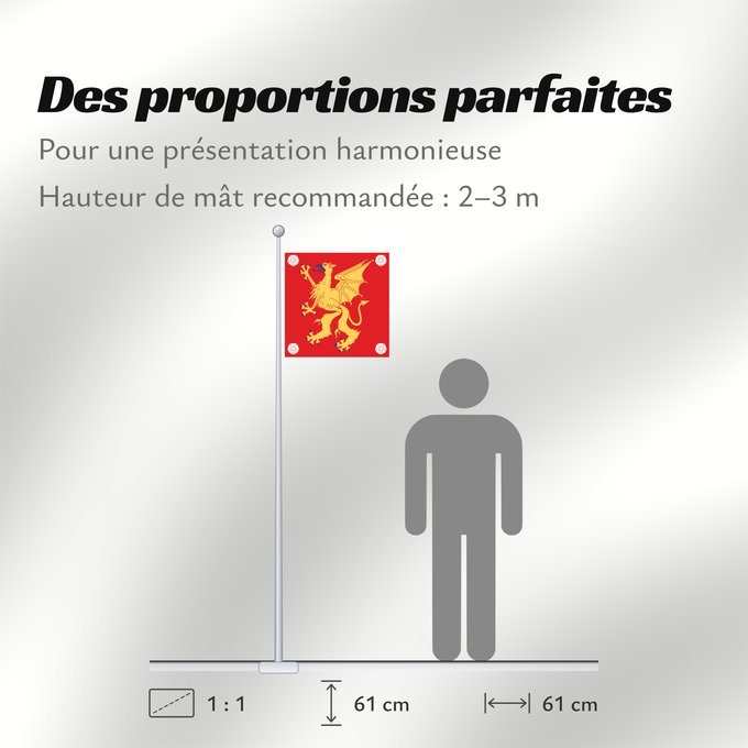 Proportions du drapeau : Östergötlands län