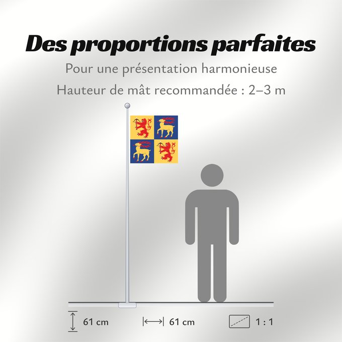 Proportions du drapeau : Kalmar län