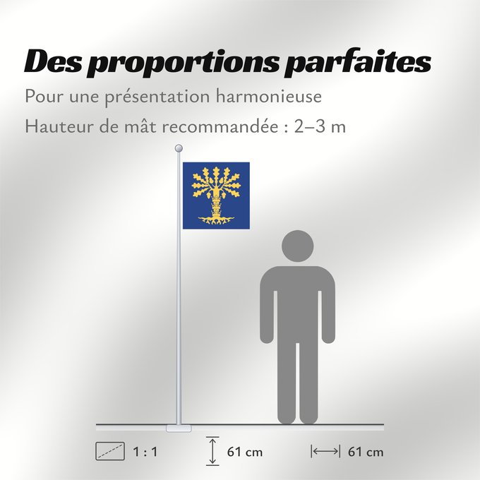 Proportions du drapeau : Blekinge län vapenflagga	See about CoA blazoning [Expand]	Blekinge	Blekinge läns vapenflagga