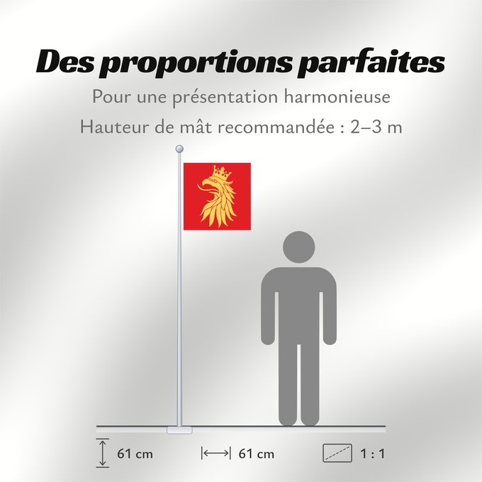 Proportions du drapeau : Skåne län